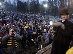 Punxsutawney Phil