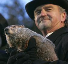 Punxsutawney Phil