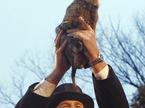 Punxsutawney Phil