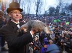 Punxsutawney Phil