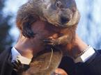 Punxsutawney Phil
