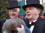 Punxsutawney Phil
