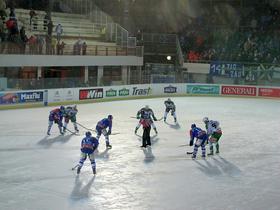 Šalata