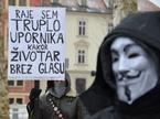 Acta