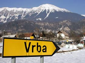 Vrba na Gorenjskem