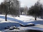 Zaledenela Krka