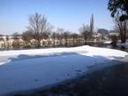 Zaledenela Krka