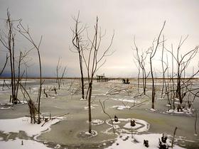 Jezero Dojran, Makedonija