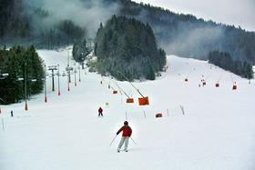 Kranjska Gora
