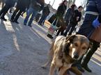 Protest Acta