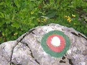 Markacija