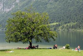 Jezero