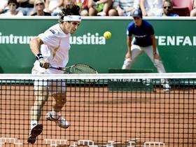 David Ferrer