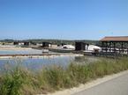 Sečoveljske soline