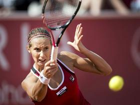Polona Hercog