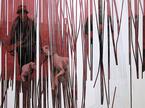 Mito Gegić, Revir, 2011, akril, selotejp na platnu, 200 x 165 cm