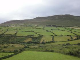 Belo pikasti zeleni pravokotniki (Dingle)