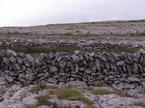 Irski suhozid (Burren)