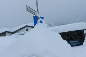 Sneg še zasipa Slovenijo, v Kočevju ga je že več kot meter. Ponekod brez elektrike.