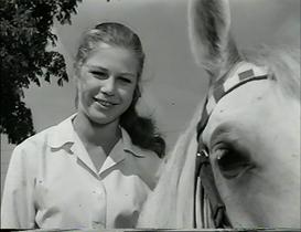 Miracle of the White Stallions 1963 - Full Cast Crew