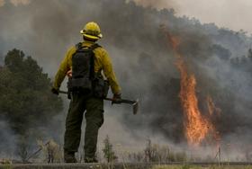 Foto: Požar v Arizoni usoden za 19 gasilcev