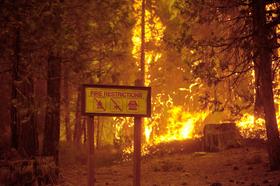 Foto: Ognjeni zublji zajeli park Yosemite