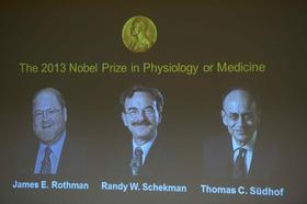 Nobelova nagrada za medicino dvema Američanoma in Nemcu