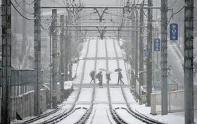 Foto: V snežnem viharju na Japonskem umrlo 19 ljudi