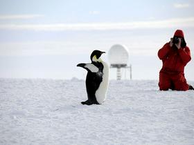 Kako ohraniti Antarktiko? Prvi korak: ustanoviti največji naravni rezervat.