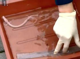 Video: Rešili človeško ribico, ki se je znašla v poplavljeni kleti
