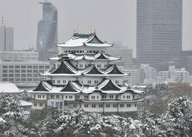 Na Japonskem zapadlo več kot dva metra snega