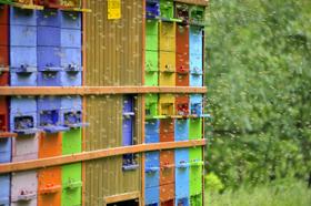 Slovenski čebelarji v Bruslju: Brez čebel ni življenja