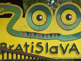 V 55 letih je bratislavski živalski vrt doživel veliko vzponov in padcev