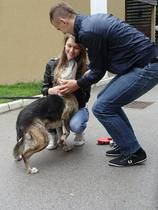 Srečen konec zgodbe o človeški krutosti: Pasji najdenček Lucky našel nov dom