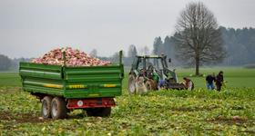 Slovenskim kmetom bo Bruselj vrnil 876.855 evrov
