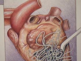 Srčne gliste - nevarna bolezen, ki lahko zamaši vitalne krvne žile