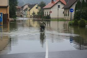Foto: Krka poplavlja v širšem obsegu, a v Podbočju je začela upadati