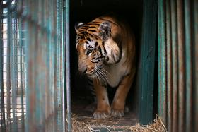 Foto: Zaprli najslabši živalski vrt na svetu
