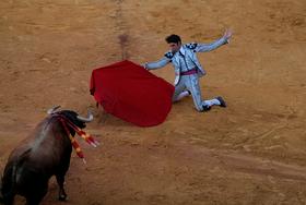 Španija: Ustavno sodišče odpravilo prepoved bikoborb v Kataloniji