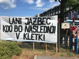 slika novice
