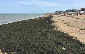 Slavne normandijske plaže prekrile 