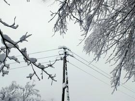 Pod težo snega klonili drevesa in daljnovodi, v gorah velika nevarnost plazov