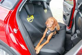 Spuščen pes v avtomobilu je smrtno nevaren