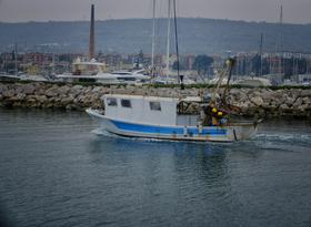 slika novice