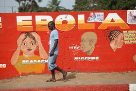 V DR Kongu razglasili izbruh ebole