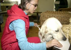 Invalidi lahko na upravni enoti zaprosijo za psa pomočnika