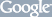 Google Search