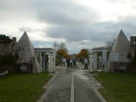 Žale