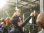 Zoo, Ooz, Breda Kralj, Natalie Jeremijenko