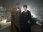 Harry Potter - Polkrvni princ
